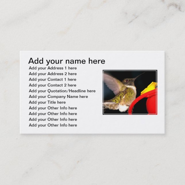 Tarjeta De Visita Colibrí Rubí-Throated (Anverso)