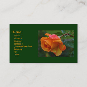 Tarjeta de visita color de rosa anaranjada