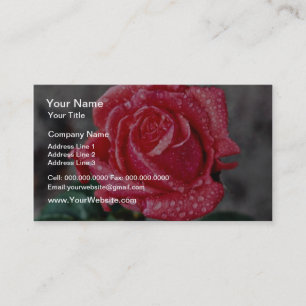 Tarjeta De Visita Color de rosa, el jardín de Shropshire, después