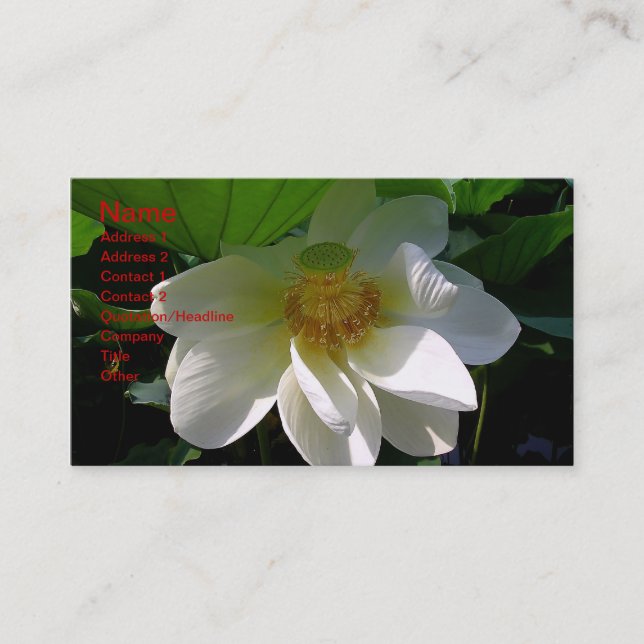 Tarjeta de visita con delicado Lotus Flower blanco (Anverso)