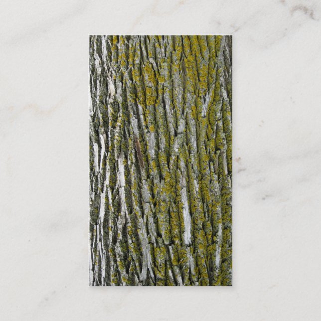 Tarjeta De Visita Condensadores de ajuste del árbol que ajardinan (Anverso)