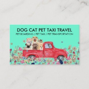Tarjeta De Visita Conductor de mascotas, aseo y viajes al veterinari