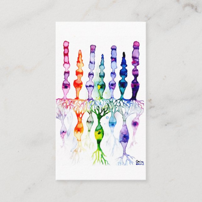 Tarjeta De Visita Cone cells rod cells and bipolar neurons of retina (Anverso)