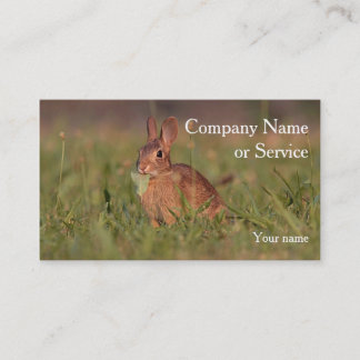 Tarjeta De Visita Conejo de conejo de rabo blanco