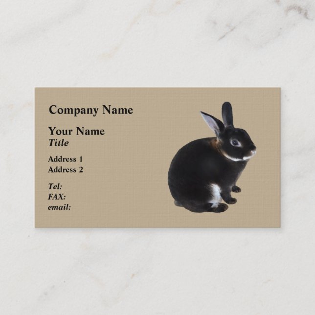Tarjeta De Visita Conejo minicátrico blanco y marrón oscuro (Anverso)