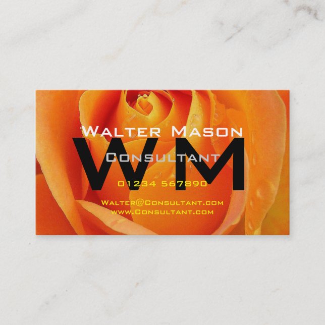 Tarjeta De Visita Consultor Crear su propio Easy Generic (Anverso)