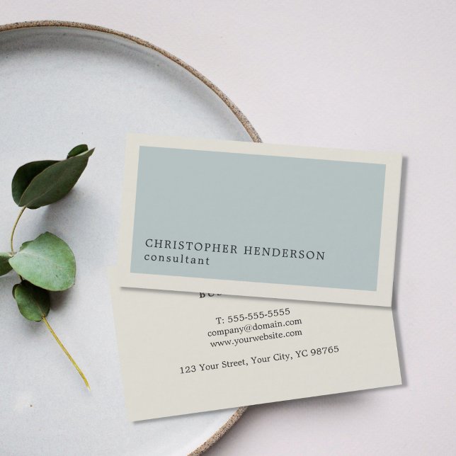 Tarjeta De Visita Consultor profesional elegante de gris azul claro (Subido por el creador)