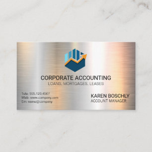 Tarjeta De Visita Contabilidad de gráfico de barras   Icono de diner