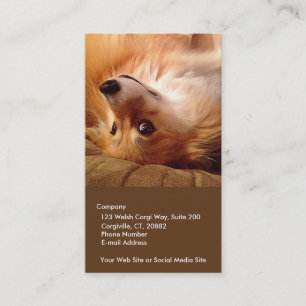Tarjeta De Visita Corgi adaptable