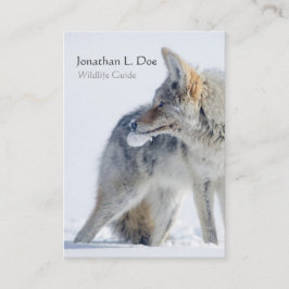 Tarjeta De Visita Coyote en la guía de la fauna de la nieve,