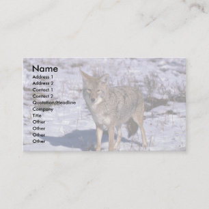 Tarjeta De Visita Coyote en nieve