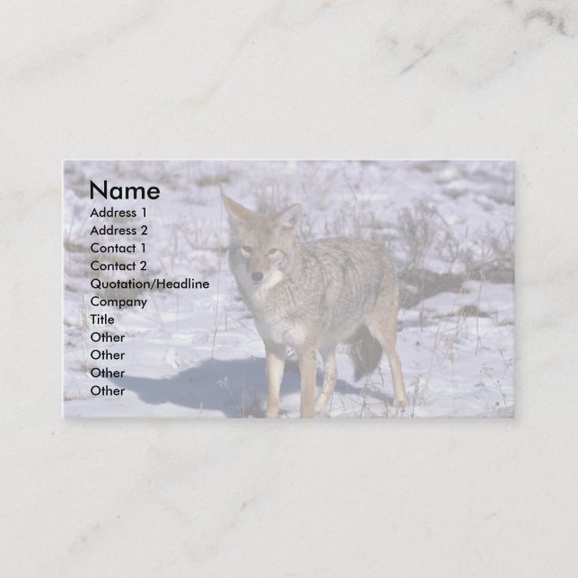 Tarjeta De Visita Coyote en nieve (Anverso)