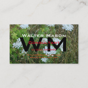 Tarjeta De Visita Crear su propio consultor genérico fácil