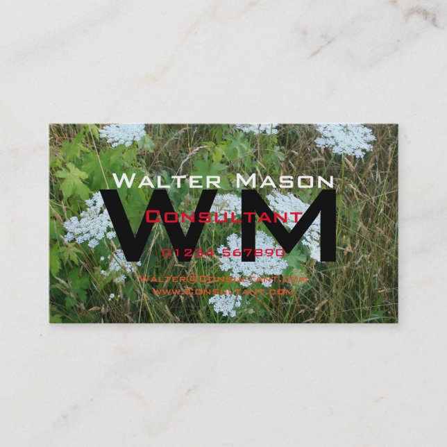 Tarjeta De Visita Crear su propio consultor genérico fácil (Anverso)