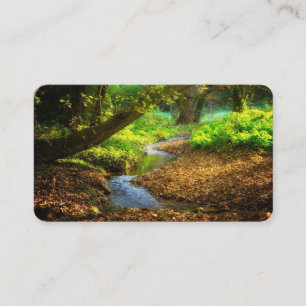 Tarjeta De Visita Creek forestal Hermoso paisaje natural Foto
