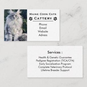 Tarjeta De Visita Criadero de Maine Coon Elegantes y Criador Profesi