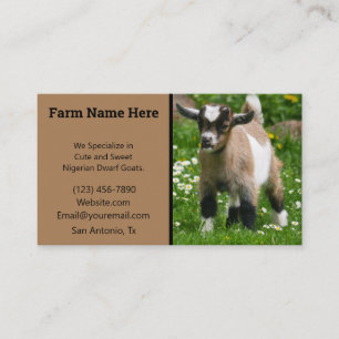 Tarjeta De Visita Criador de cabra enano pigmeo