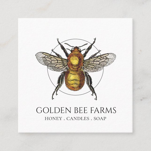 Tarjeta De Visita Cuadrada Abeja dorada Granjas Apiar Abeja (Anverso)