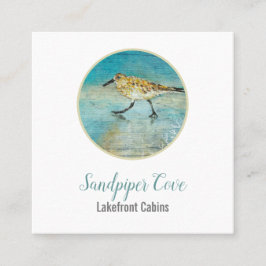 Tarjeta De Visita Cuadrada Alquiler costero de Sandpiper Bird Beach