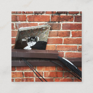Tarjeta De Visita Cuadrada arte del gato callejero
