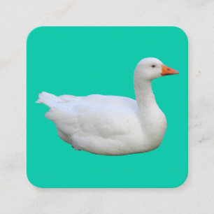 Tarjeta De Visita Cuadrada Caballo blanco