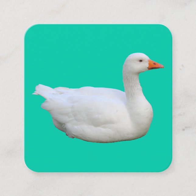 Tarjeta De Visita Cuadrada Caballo blanco (Anverso)