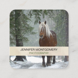 Tarjeta De Visita Cuadrada Caballo marrón en un bosque de invierno con nieve