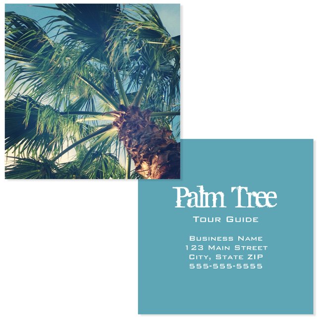 Tarjeta De Visita Cuadrada California Beach Palm Fronds (California Beach Palm Fronds Square Business Card)