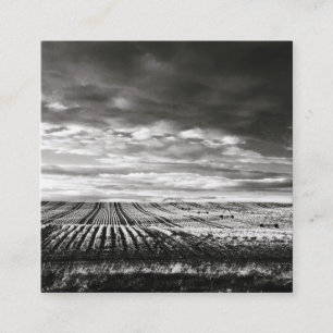 Tarjeta De Visita Cuadrada campos de cultivo
