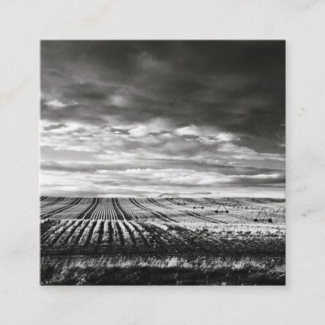 Tarjeta De Visita Cuadrada campos de cultivo (Anverso)