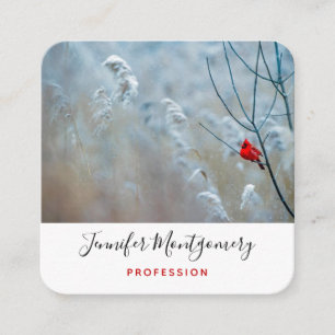 Tarjeta De Visita Cuadrada Cardenal rojo en Navidades de fotografía de natura