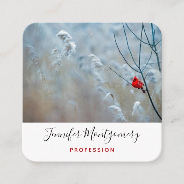 Tarjeta De Visita Cuadrada Cardenal rojo en Navidades de fotografía de natura (Anverso)