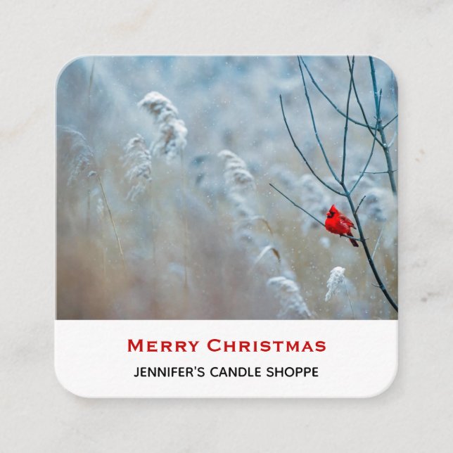 Tarjeta De Visita Cuadrada Cardenal rojo en Navidades de fotografía de natura (Anverso)