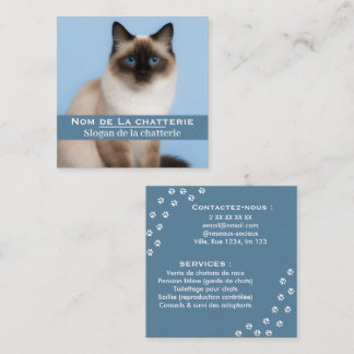Tarjeta De Visita Cuadrada Carte de visite personnalisée chatterie élégante