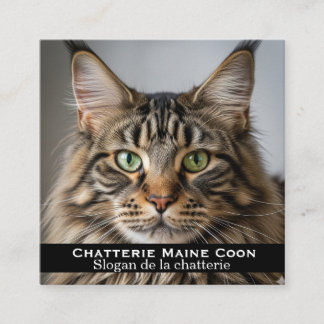 Tarjeta De Visita Cuadrada Carte de visite personnalisée Chatterie Maine Coon