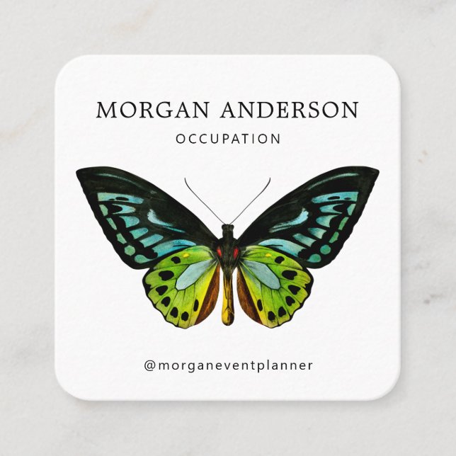 Tarjeta De Visita Cuadrada Código QR Mariposa mínima (Anverso)