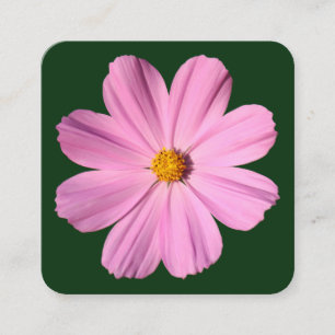 Tarjeta De Visita Cuadrada Cosmos rosados - Verde oscuro