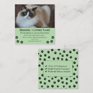 Tarjeta De Visita Cuadrada Criadero de Gatos Ragdoll Criador de Gatos Persona