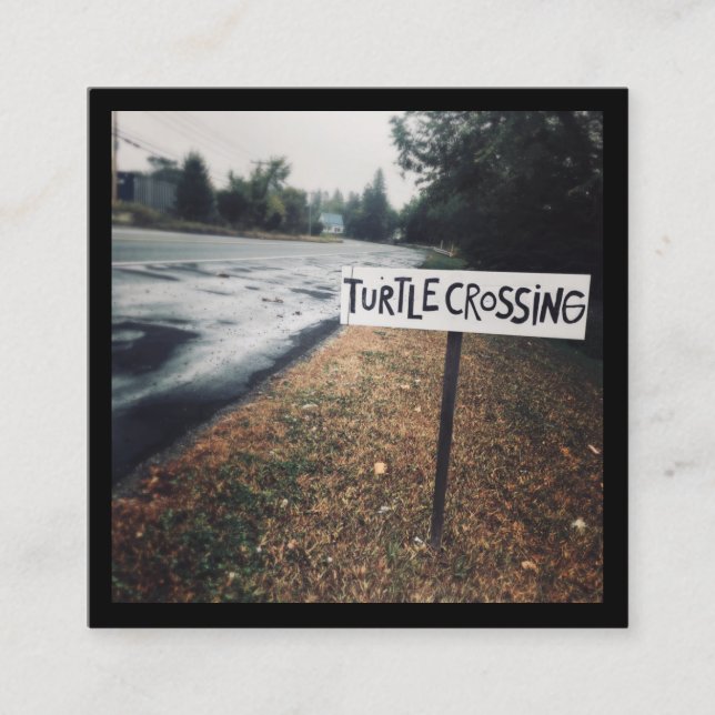 Tarjeta De Visita Cuadrada cruce de tortugas (Anverso)