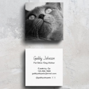 Tarjeta De Visita Cuadrada Cuidador de Mascotas Simple Moderno Paseador de Pe