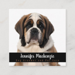 Tarjeta De Visita Cuadrada Cuidados de mascotas