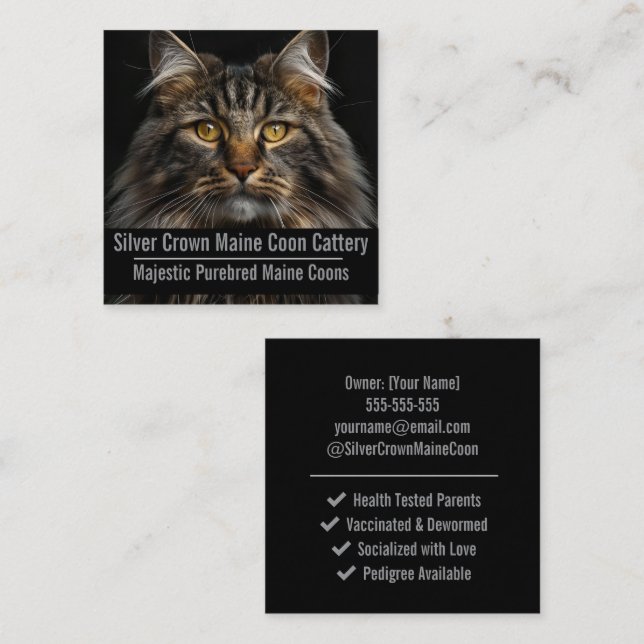 Tarjeta De Visita Cuadrada Custom Maine Coon Cattery Business Card  (Anverso / Reverso)
