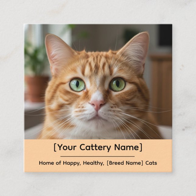 Tarjeta De Visita Cuadrada Customizable Cattery Business Card with Cat Photo  (Anverso)
