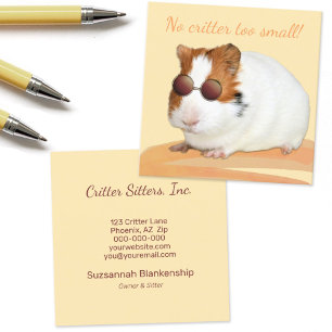 Tarjeta De Visita Cuadrada Cute Pet Care Guinea Fotografía de cerdo