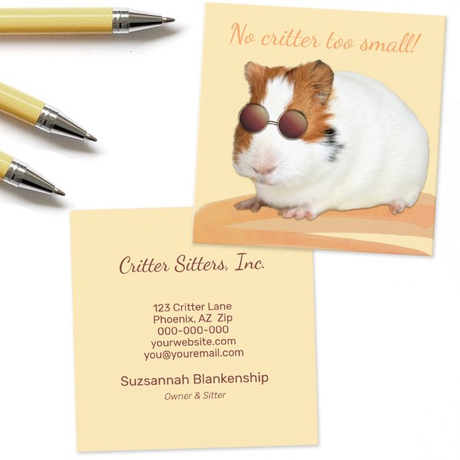 Tarjeta De Visita Cuadrada Cute Pet Care Guinea Fotografía de cerdo (Subido por el creador)