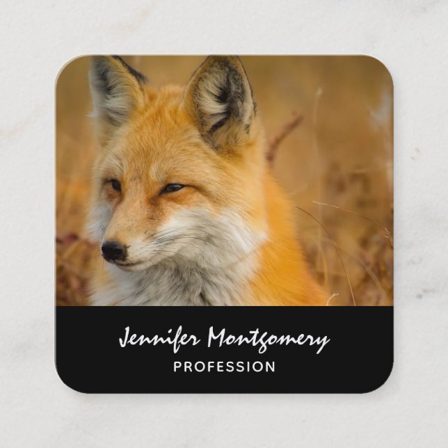Tarjeta De Visita Cuadrada Cute Red Fox Wilderness Nature Photography Square (Anverso)