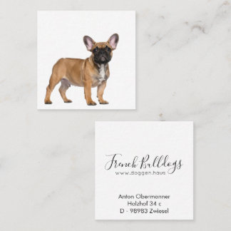Tarjeta de visita cuadrada de Bulldogs franceses
