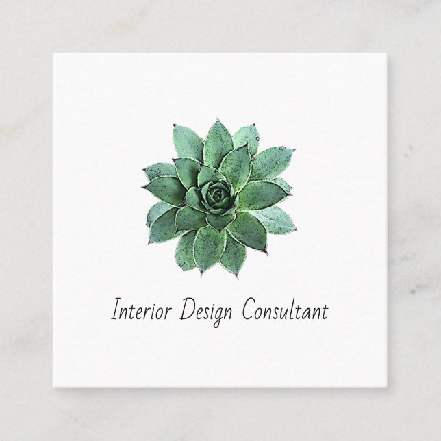 Tarjeta De Visita Cuadrada Desert Succulent QR code Interior Designer  (Anverso)