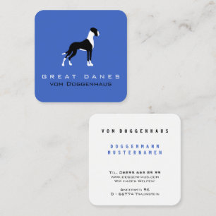 Tarjeta De Visita Cuadrada Dogo Gran Danés de Boston sobre azul