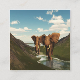 Tarjeta De Visita Cuadrada Elefante